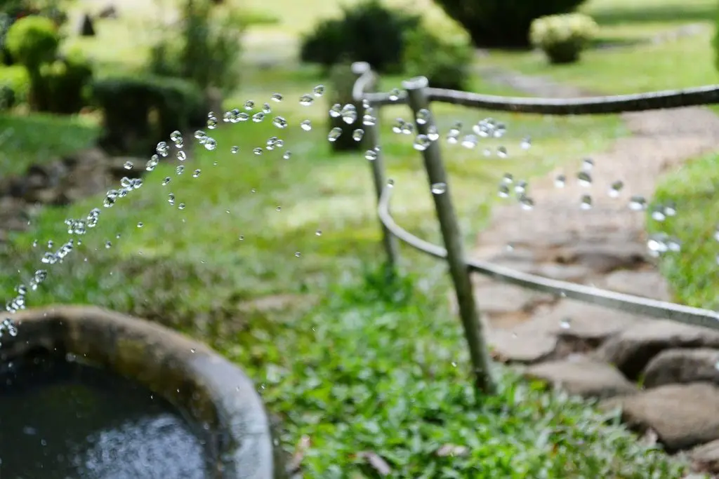arrosage-goutte-a-goutte