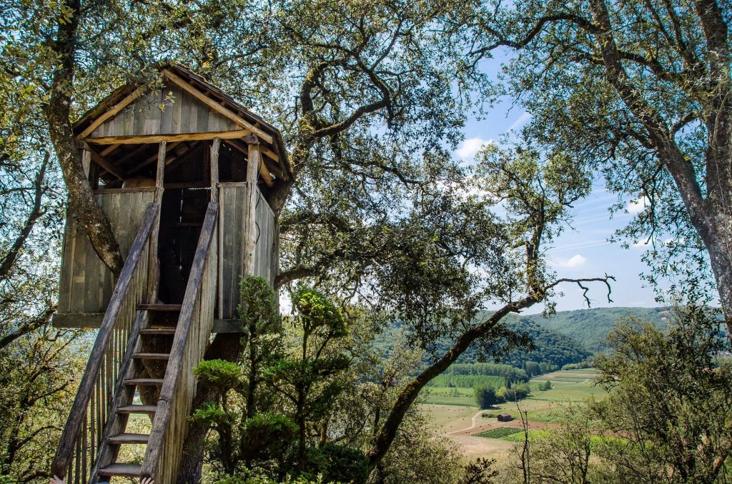 cabane-arbre
