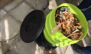 Les vers de compostage pour son lombricomposteur vermicomposteur-lombricompostiere