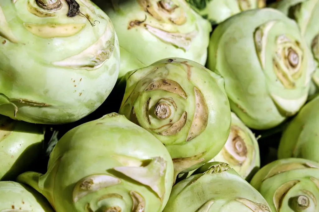 chou-rave-recette