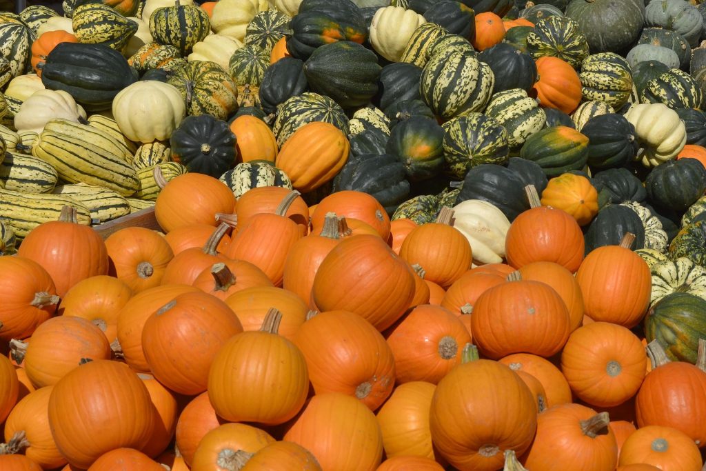 courge-citrouille-recette