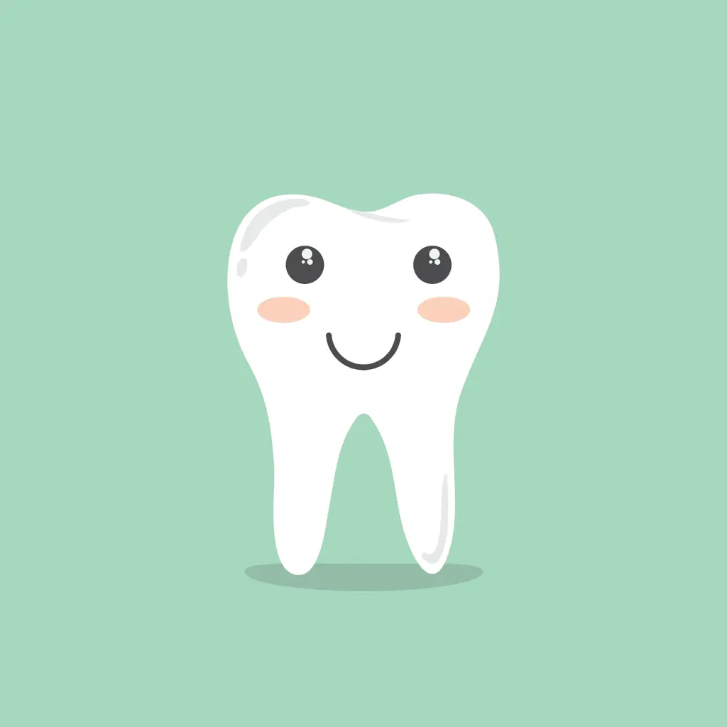 dentifrice-maison