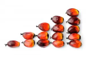 huile-palme-bio-