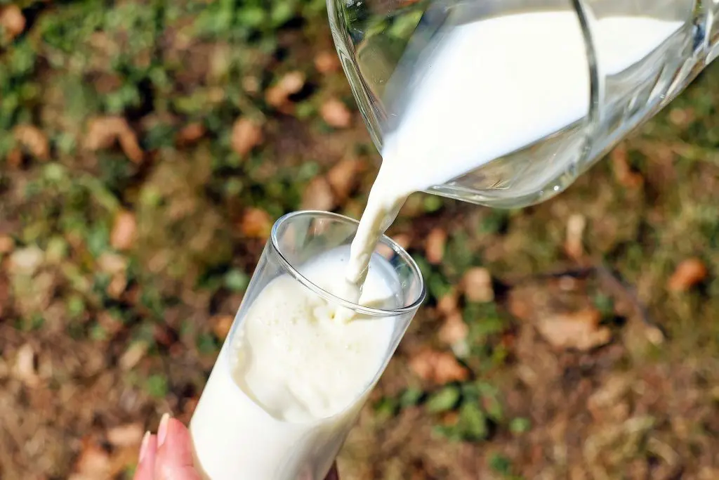 lait-biologique