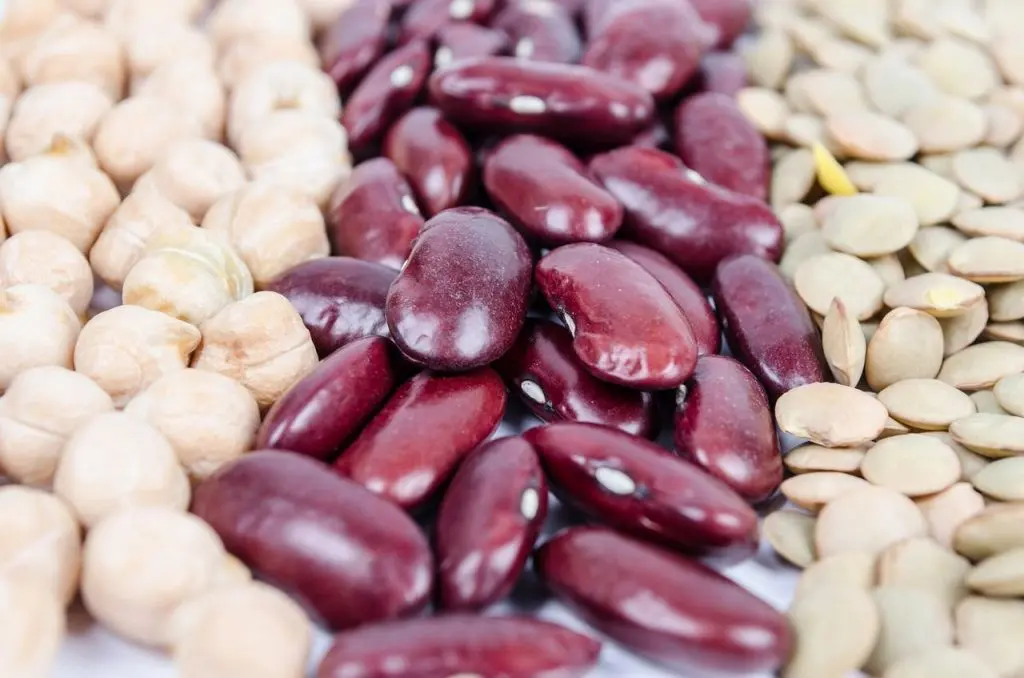 legumes-secs