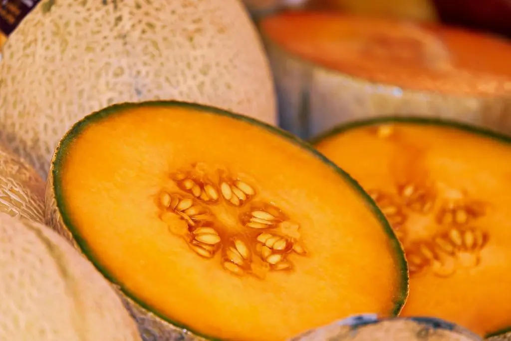 melon-soupe