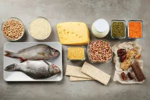proteines-animales-vegetales