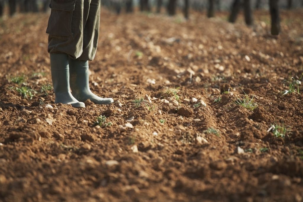 agriculteur-sante-pesticide