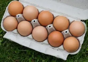 choisir-bon-oeuf