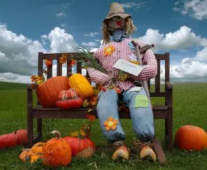 courge