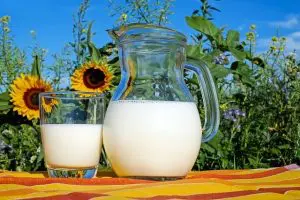 fete-lait-bio