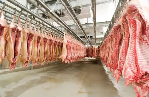 consommation-viande