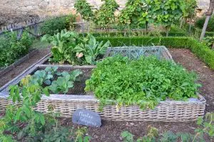 jardin-bio