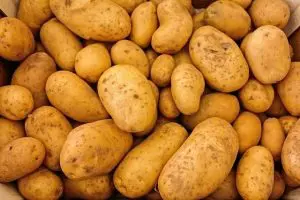 pomme-de-terre