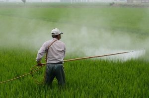 liens-pesticides-parkinson