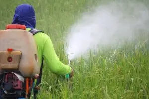 pesticides-cancer-enfant