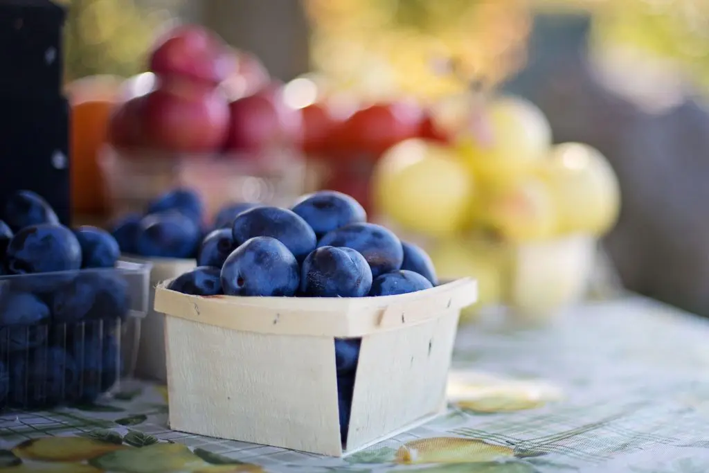 conservation-fruits-verger