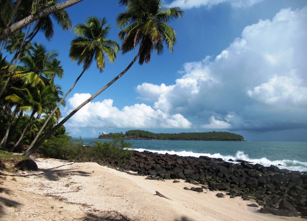 guyane-pharmacopee