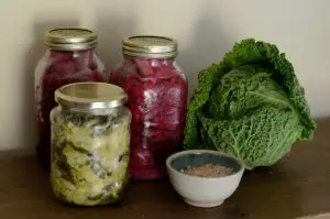 legumes-lacto-fermentes