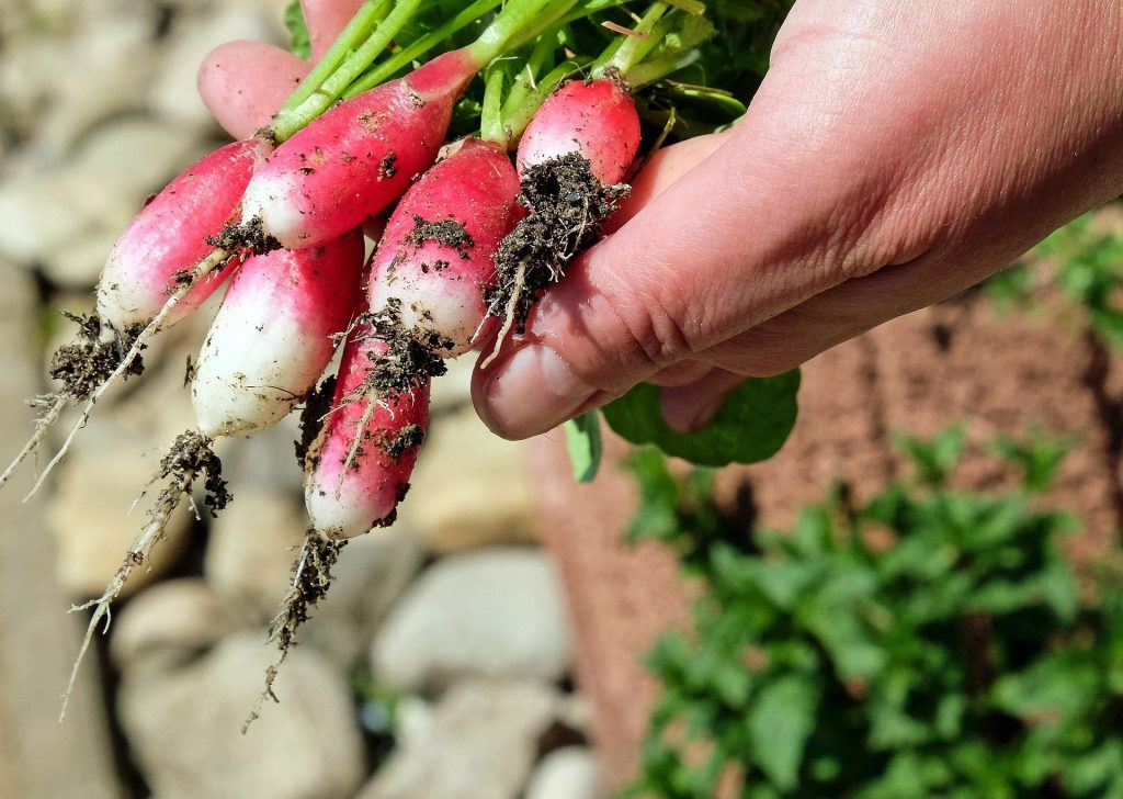 alimentation-durable