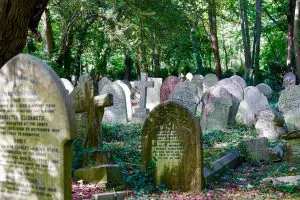 inhumation-humusation-carbone