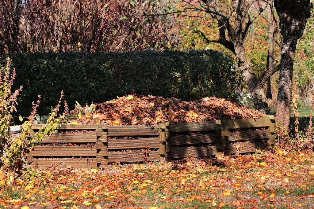 compostage-bacs
