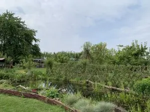 permaculture-eau
