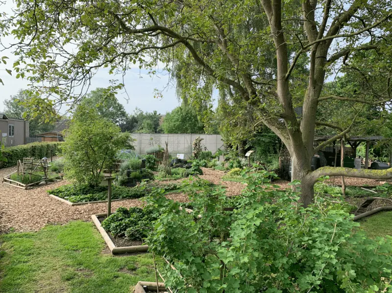 projet-permaculture