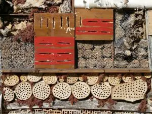 hotel-insectes