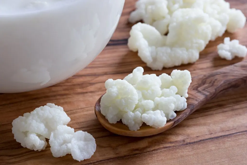 kefir-lait