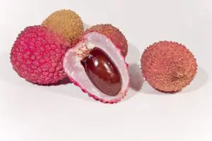 litchi-noyau