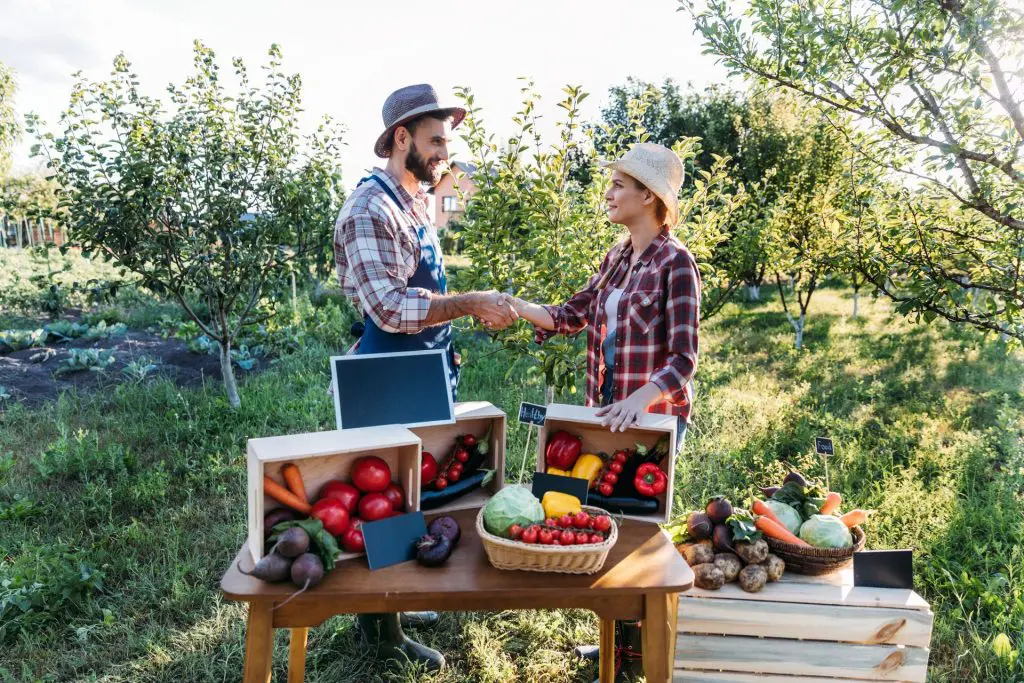 produits-locaux-locavore