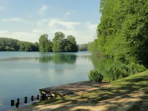 lyon-ville-verte