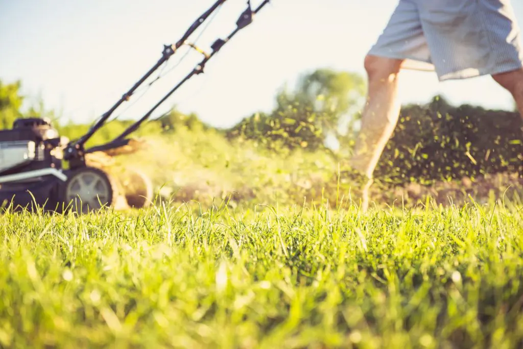 mulching-permaculture
