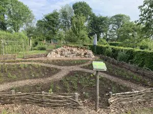pailler- mulch-jardin