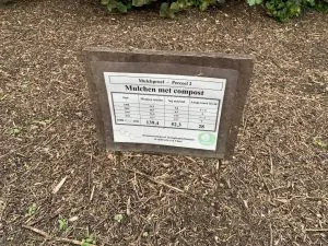 paillis-compost