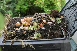 rongeur-compost