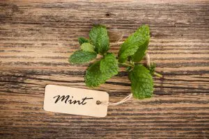 composition-alimentaire