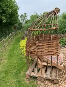 jardin-permaculture