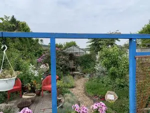 patio-permaculture