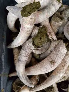 preparations-biodynamiques