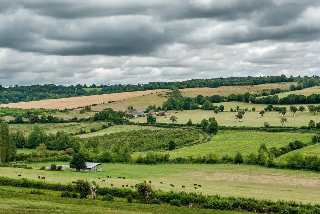 haie-bocage