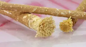 brossage-dent-siwak