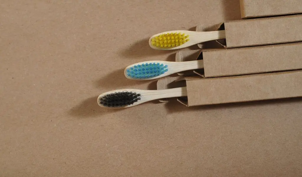brosse-dent-bambou
