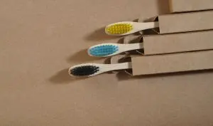 brosse-dent-bambou