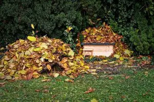 jardin-herissons