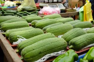 luffa