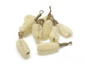 luffa-eponge-cuisine