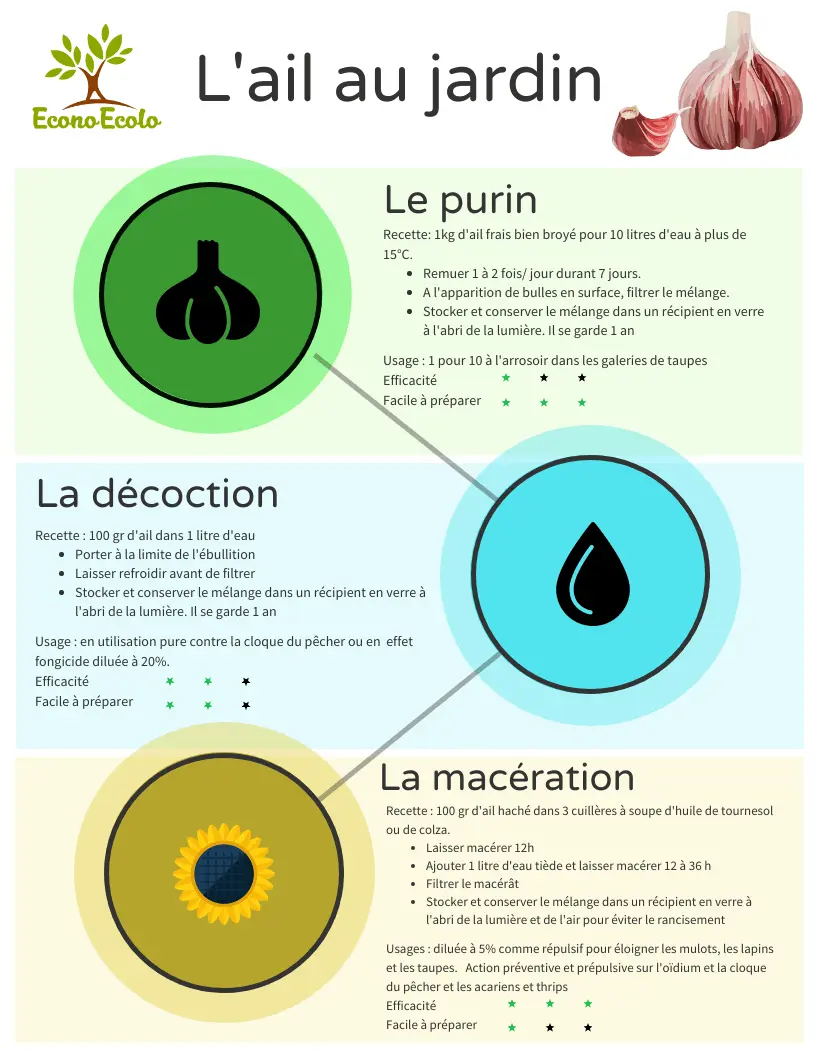 Ail Jardin