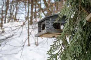 mangeoire-oiseau-maison